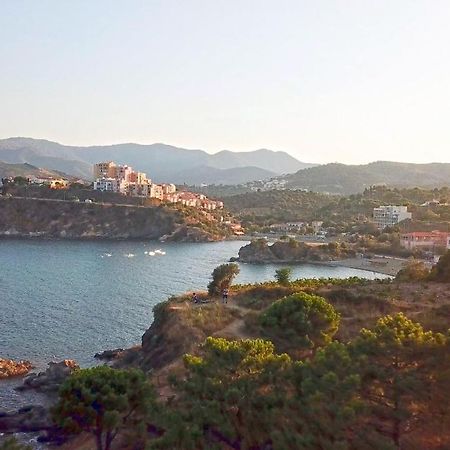 Appartement Lumineux Entre Plage Et Montagne Баньюль-сюр-Мер Экстерьер фото