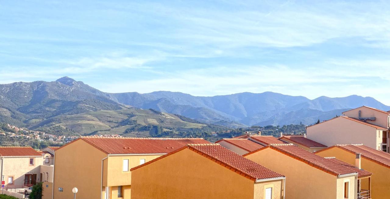 Appartement Lumineux Entre Plage Et Montagne Баньюль-сюр-Мер Экстерьер фото